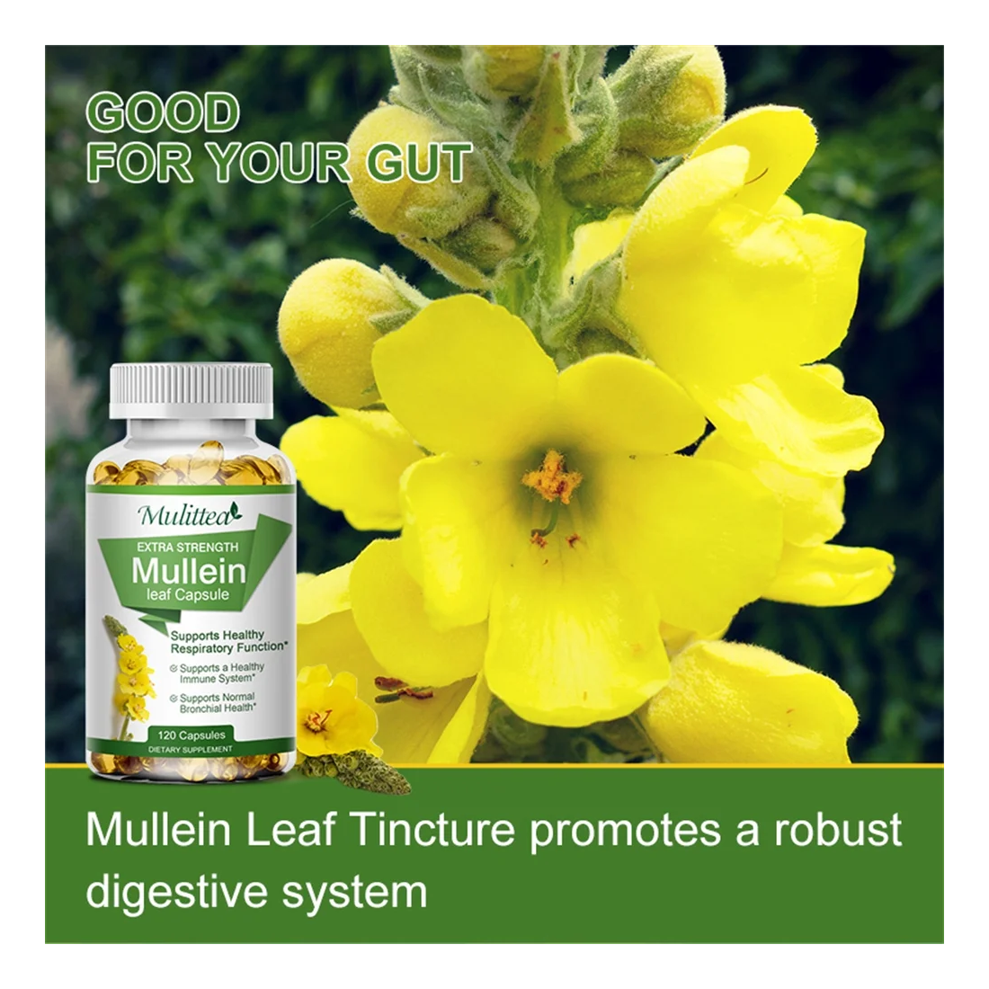 Mullein 1000mg Orgánico Extracto Limpieza Pulmonar 120 Cap.-3