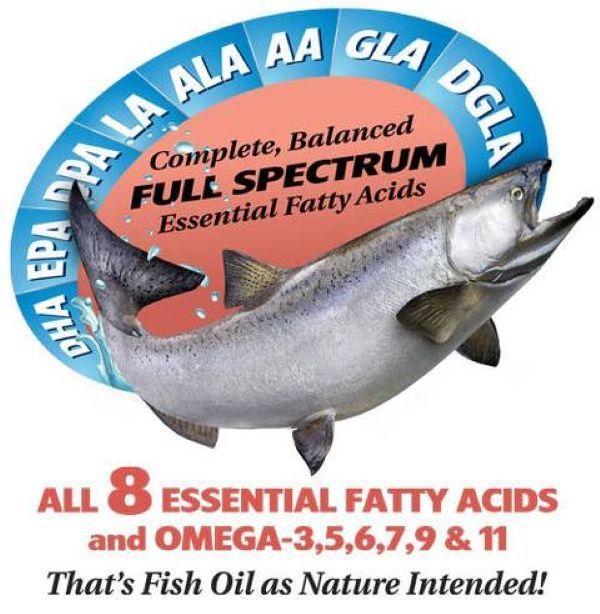 Pure Alaskan Salmon Oil Omega 3 Aceite De Salmon 2000mg 210 softgel-2