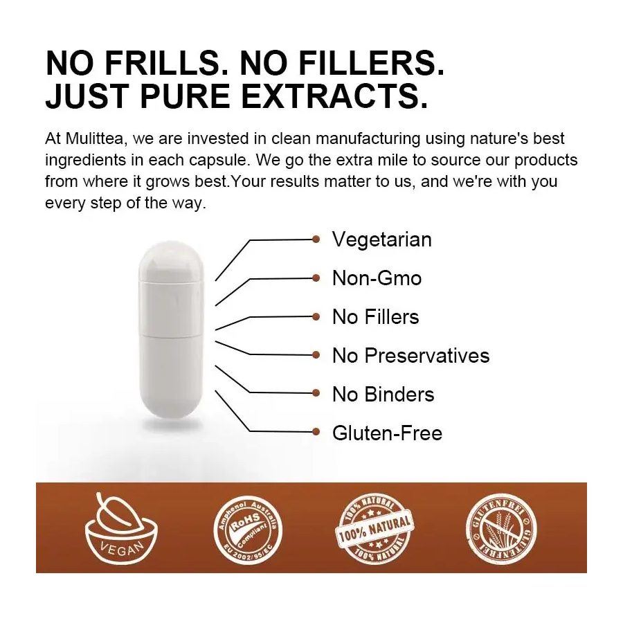 Mega Mushroom Complex 2760mg 10 Hongos Funcionales 60 Caps-4