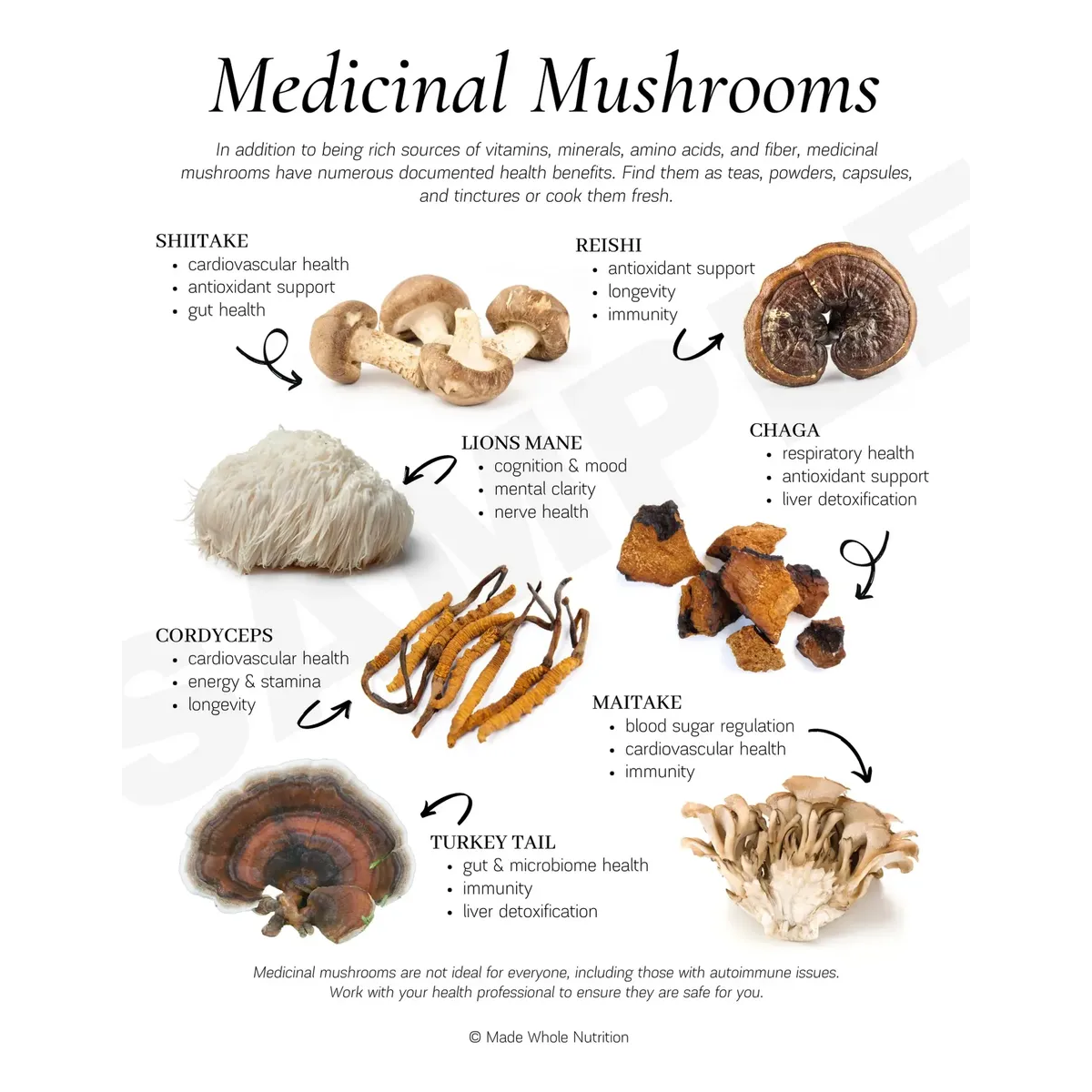 Mega Mushroom Complex 2760mg 10 Hongos Funcionales 60 Caps-6