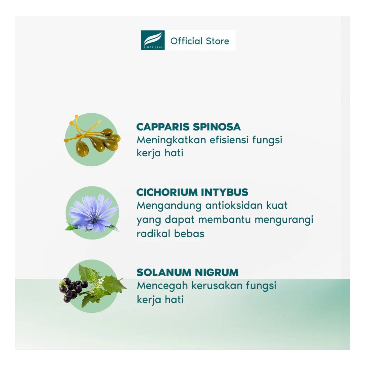 Himalaya Liv.52 Ds Suplemento Herbal Cuidado Higado 60caps-5