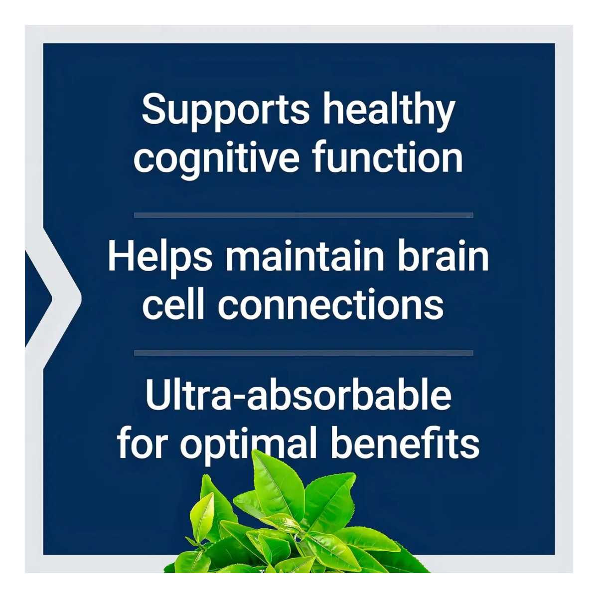 Suplemento De Magnesio Neuro-mag L-threonate 90 Capsulas-5