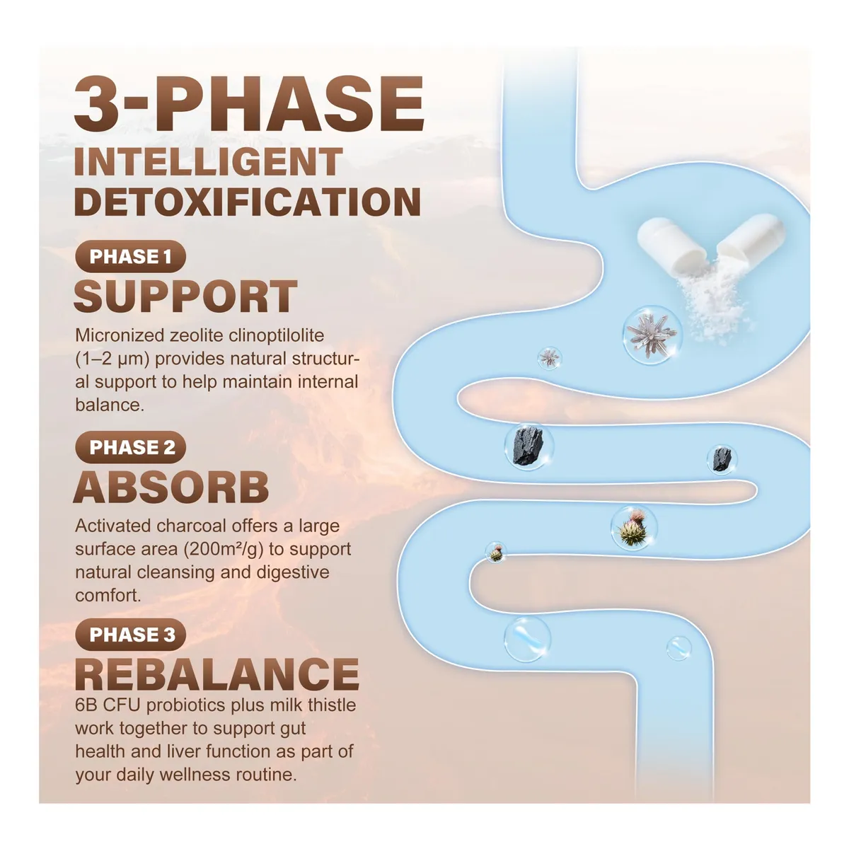 Zeolita Micronizada 1300mg Detox Natural Carbon Activado Limpieza 60 caps-3