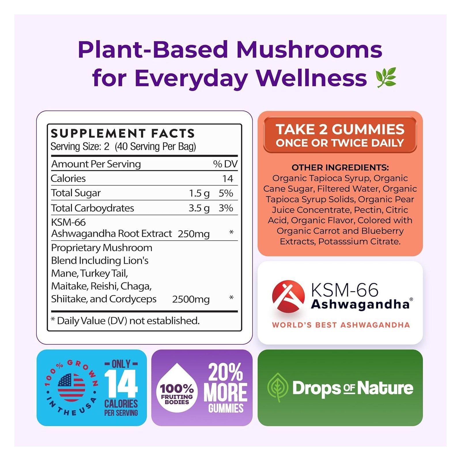 Mushroom Gummies 2500mg 7 Hongos Funcionales Ashwagandha 80u-5