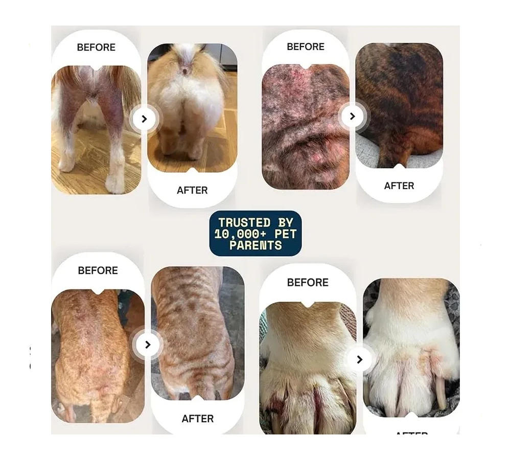 Pet Skin Soothing Spray Cuidado Para La Piel Pelaje Perros y Gatos 50ml-5