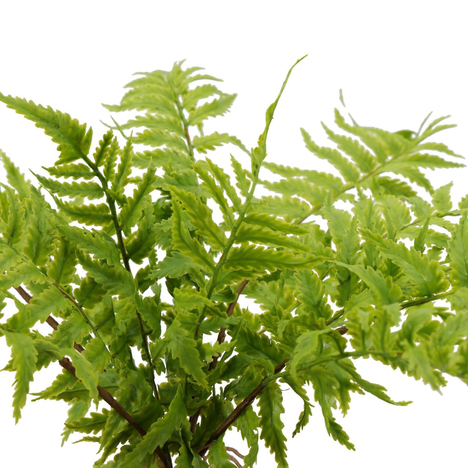 Planta Decorativa Helecho Inés 36 CM con Macetero-2