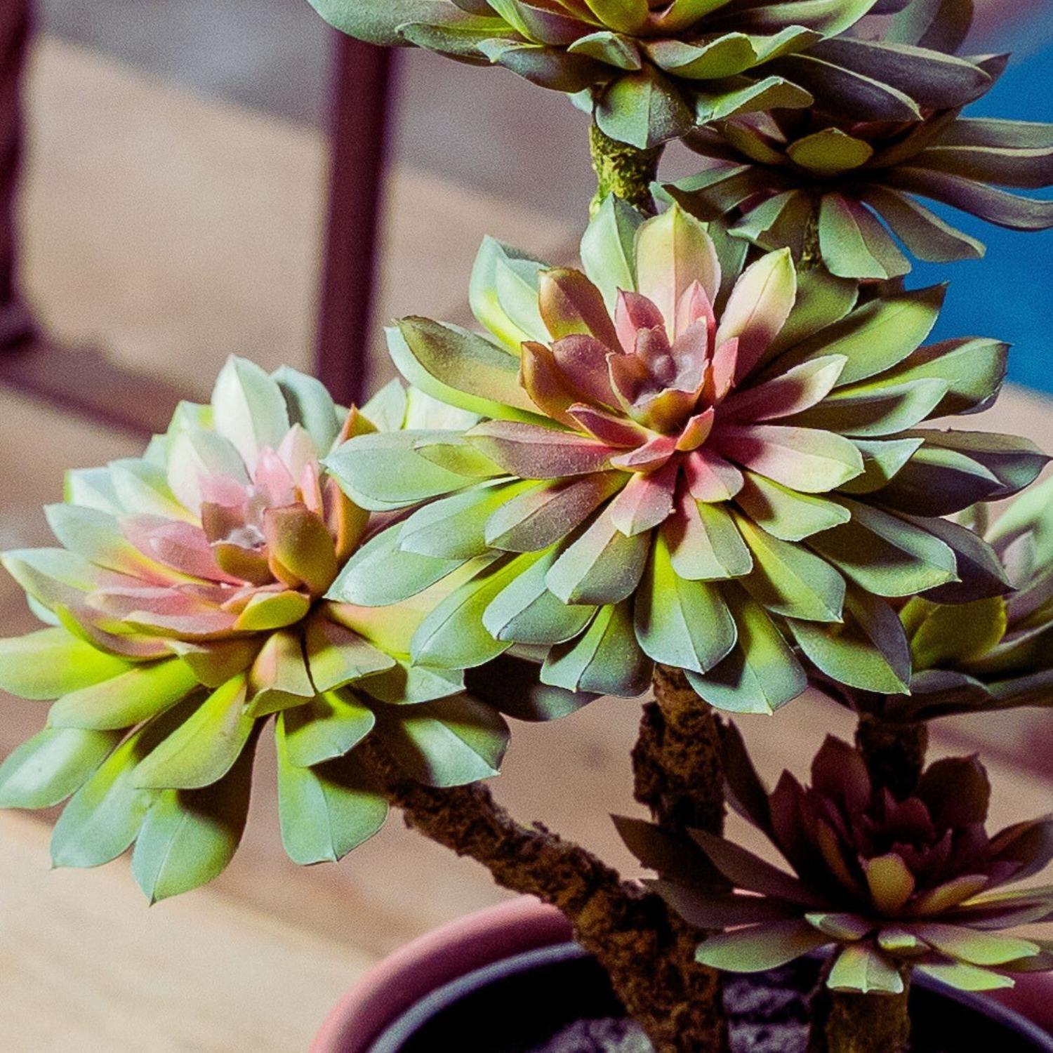 Planta artificial Suculenta Verde 33 Cm-2