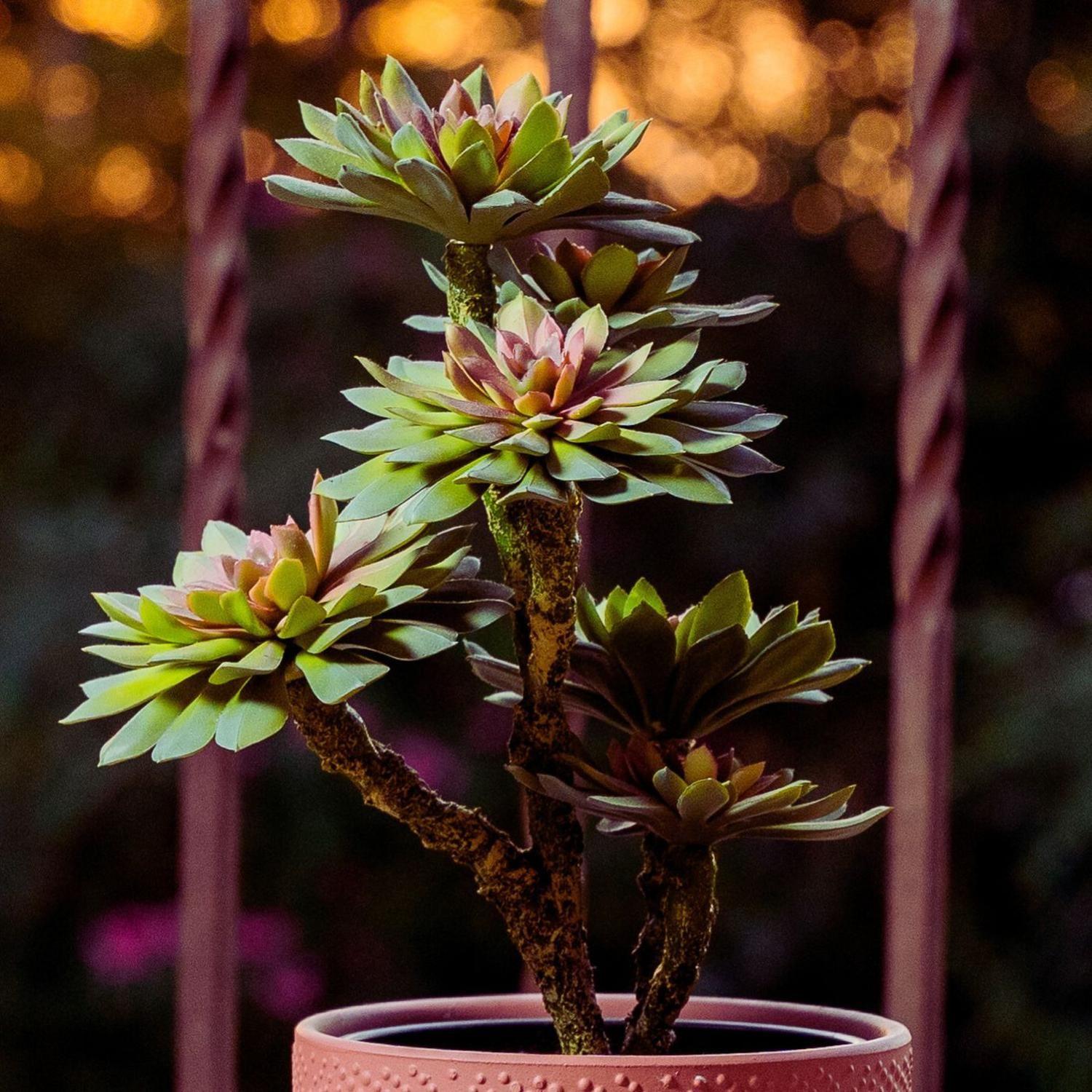 Planta artificial Suculenta Verde 33 Cm-3