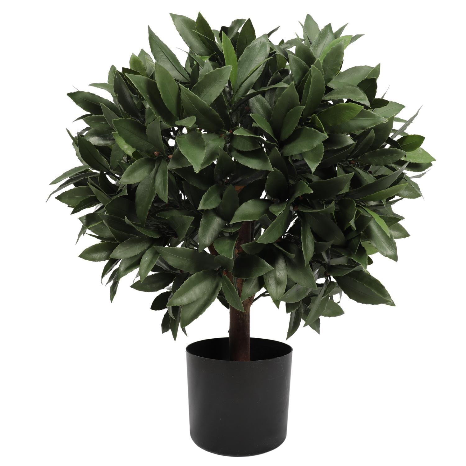Planta Artificial Laurel 67 CM-0