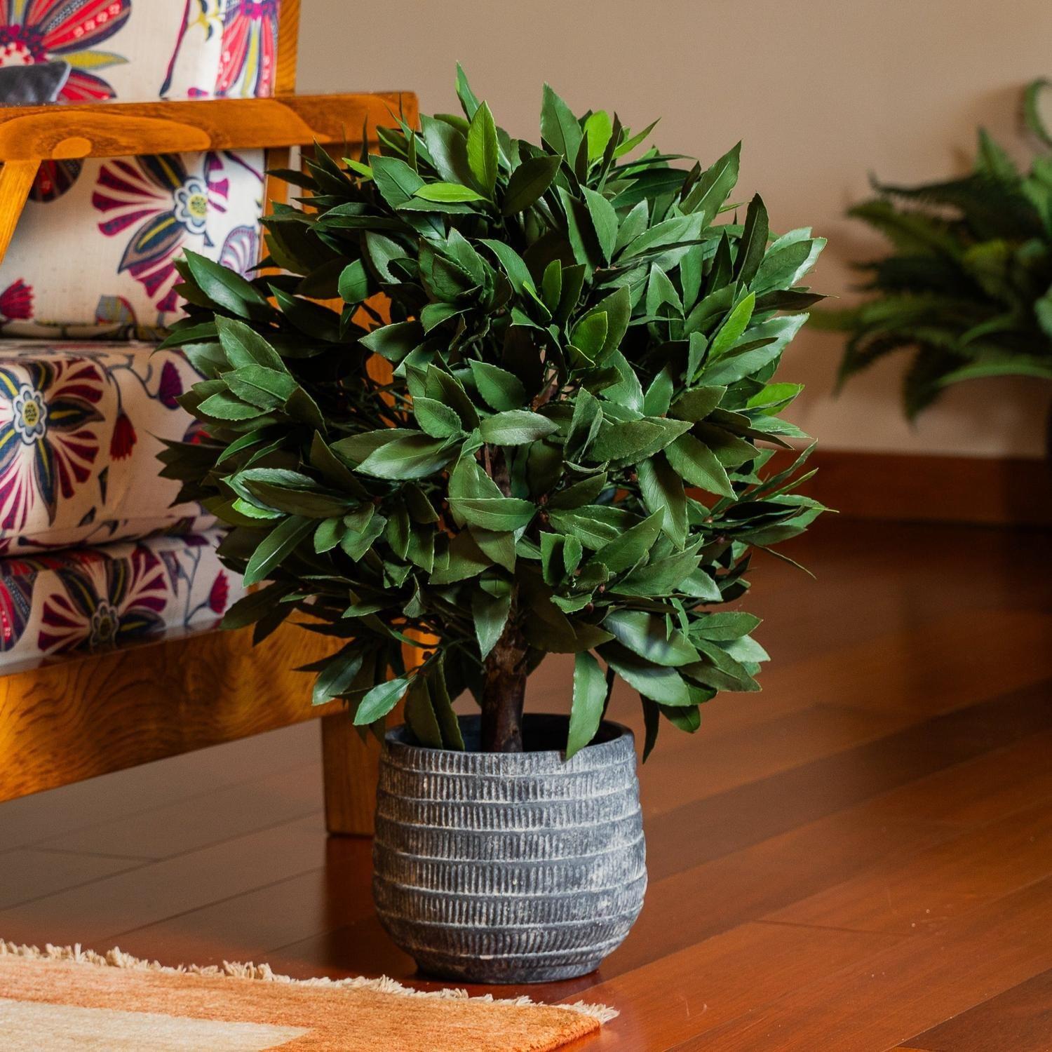 Planta Artificial Laurel 67 CM-1