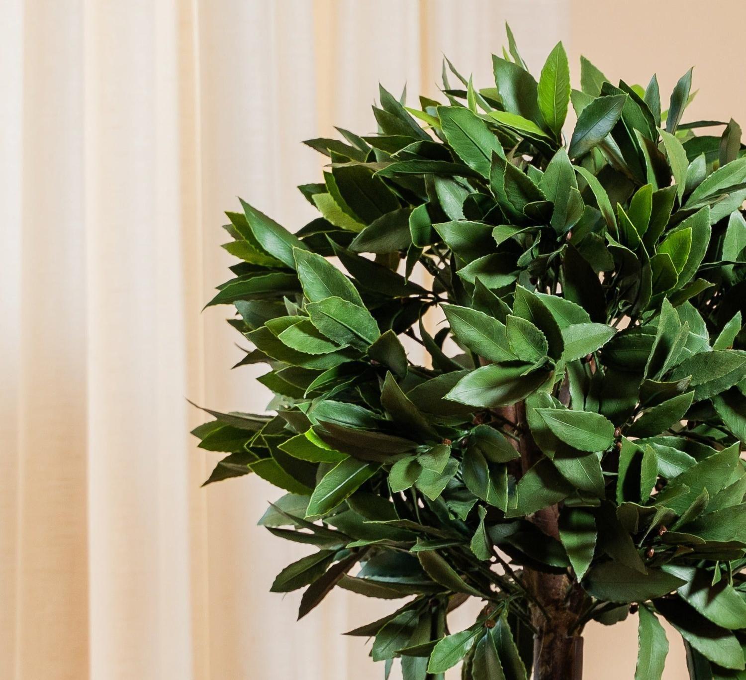 Planta Artificial Laurel 67 CM-2