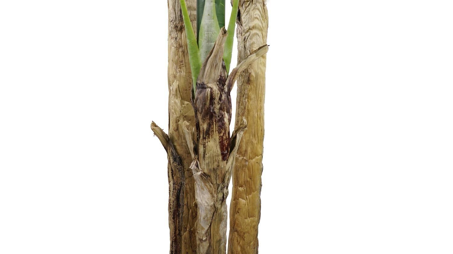 Planta artificial Banana Tree 285 Cm-3