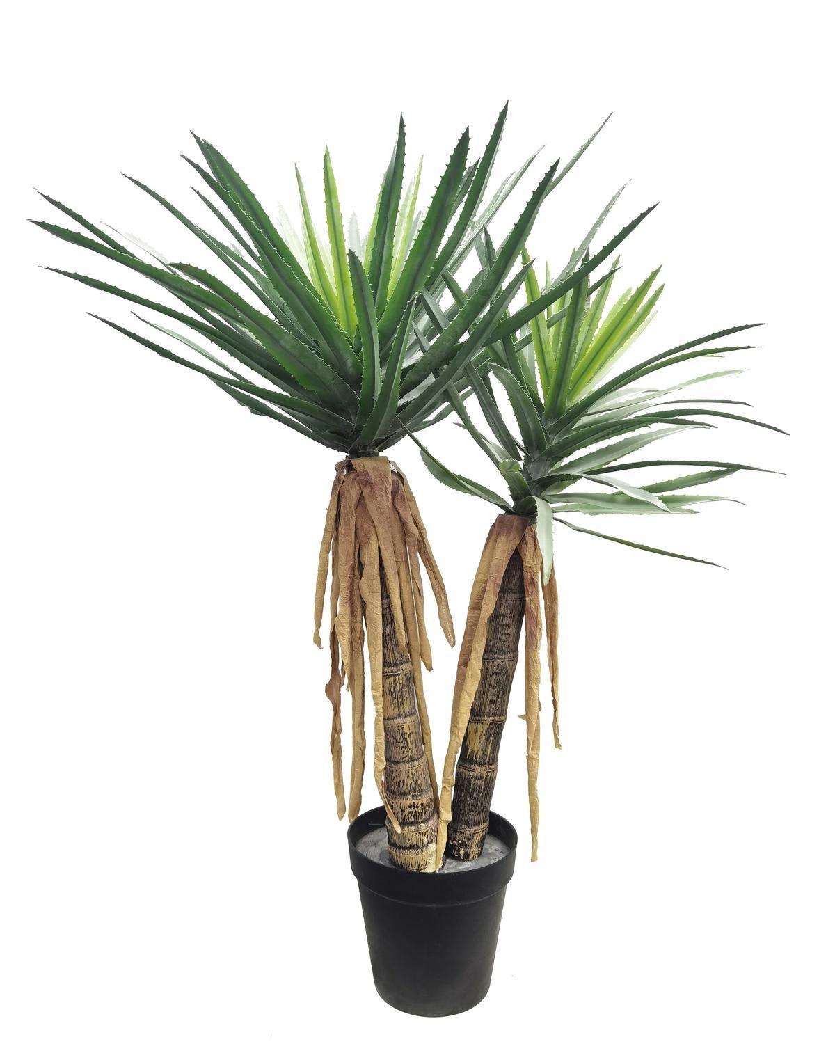 Aloe Vera (150 Cm)-0