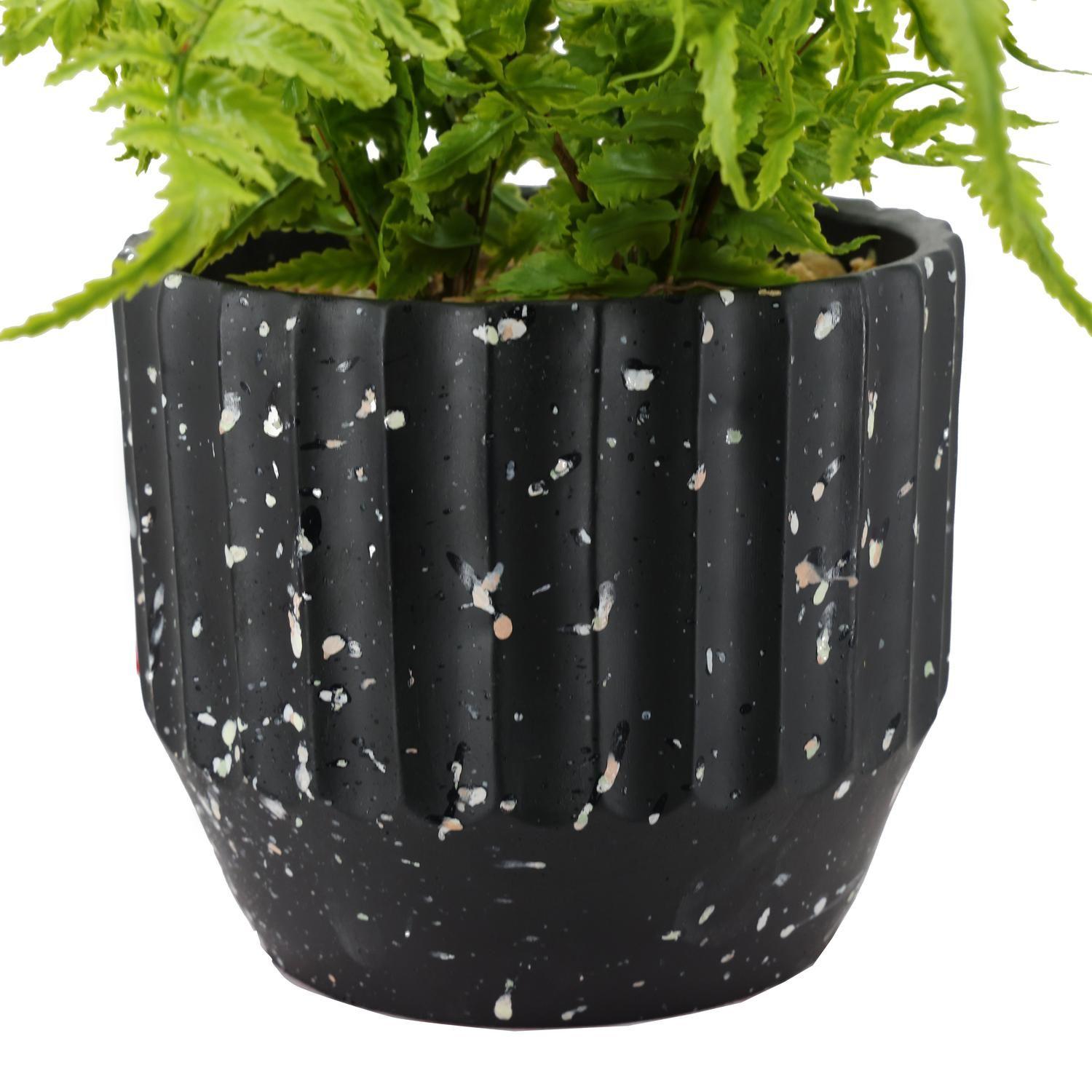 Planta Decorativa Helecho Irene 39 CM con Macetero-2