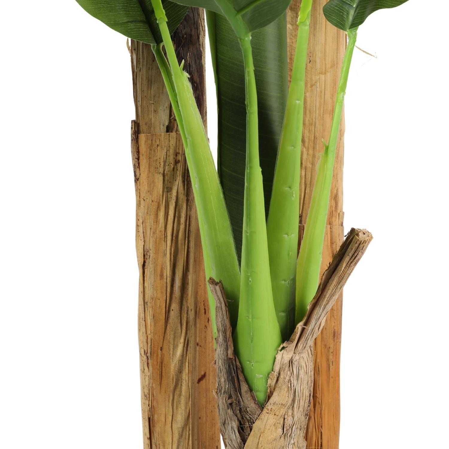 Banana Tree 220 CM-2