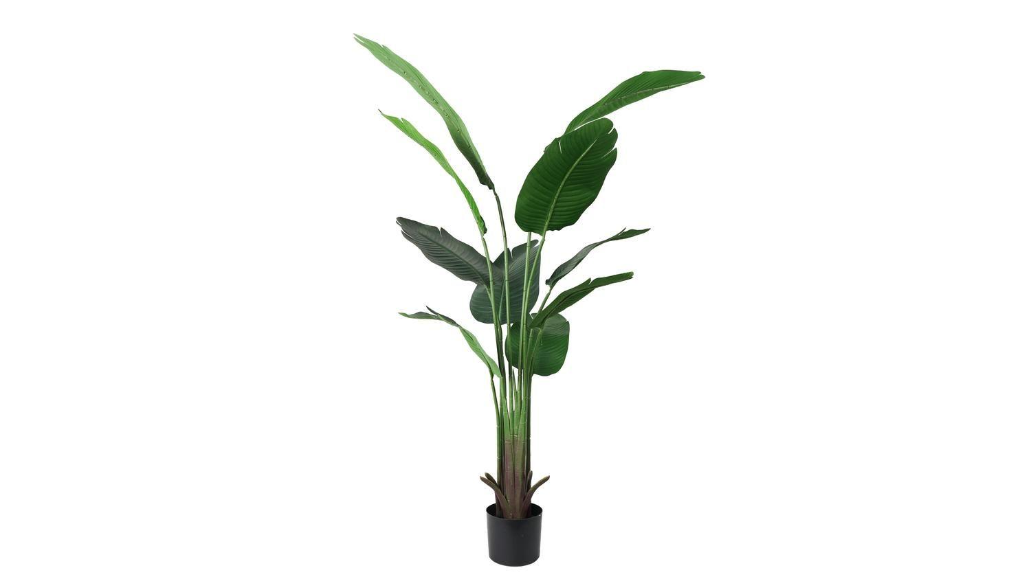 Planta artificial Bird Of Paradise 150 Cm-0
