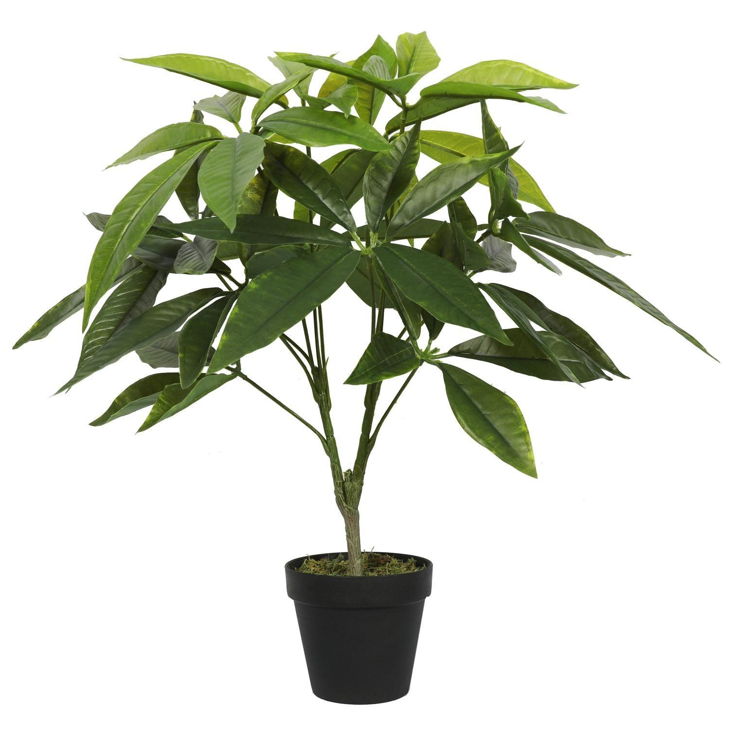 Planta Artificial Pachira 55 CM-4