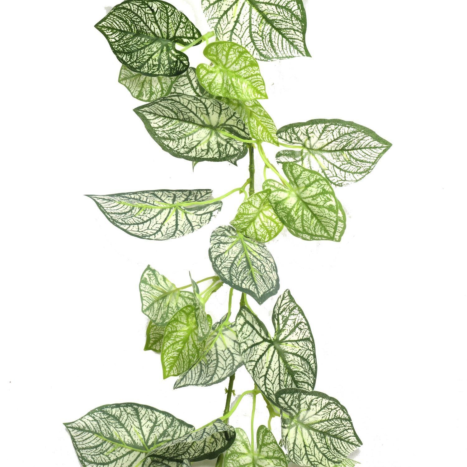 Planta Colgante Taro 190 CM-2