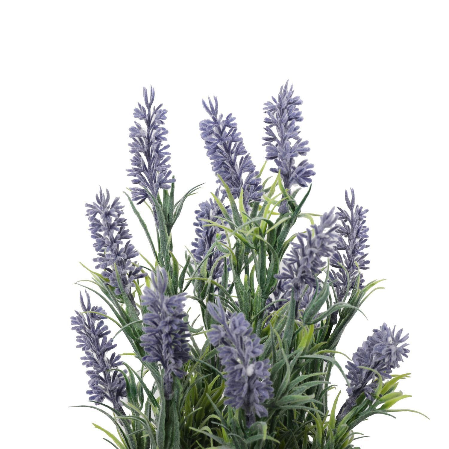 Mini Lavanda 31 Cm-2