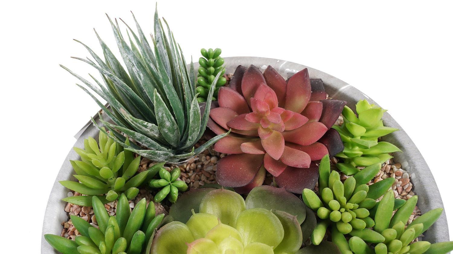 Mix Suculentas Planta Decorativa con Macetero 24 Cm-3