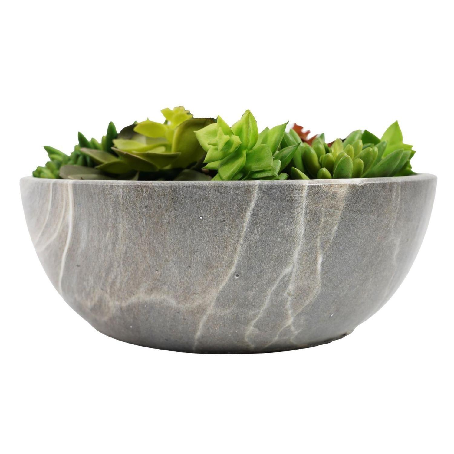 Mix Suculentas Planta Decorativa con Macetero 24 Cm-5