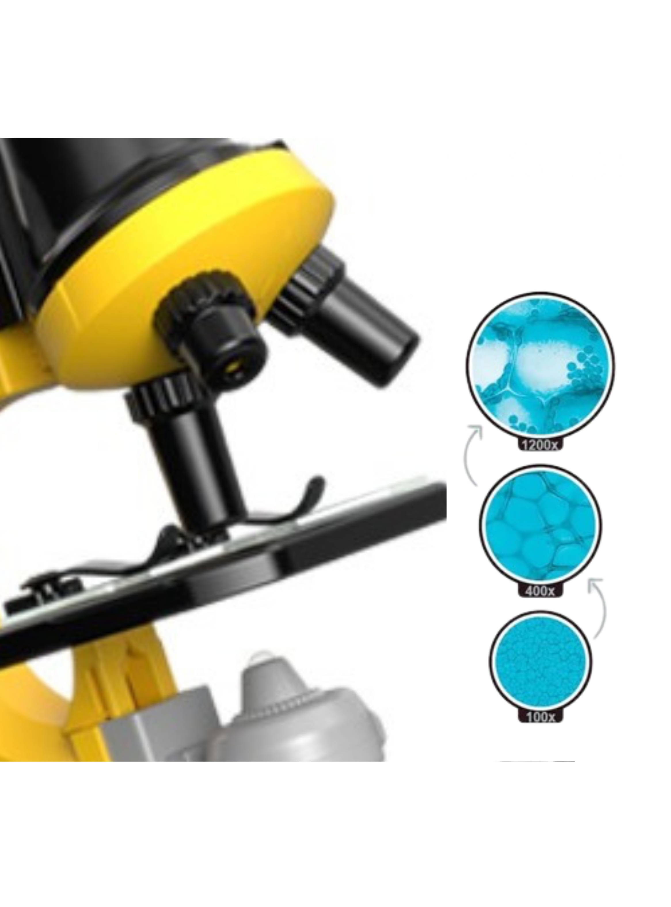 Microscopio Educativo Con Accesorios Para Niños 1200x-2