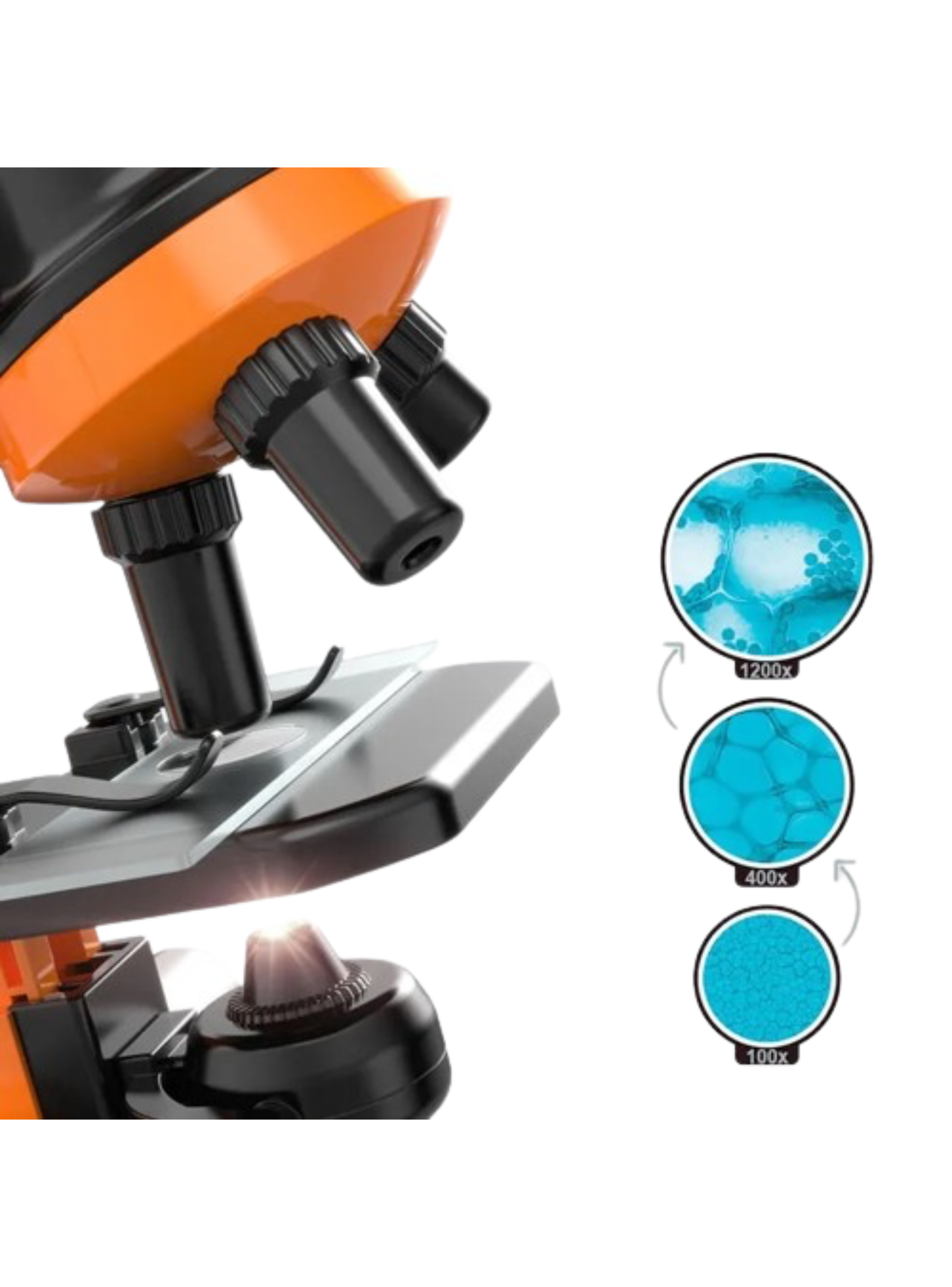 Microscopio Educativo Con Accesorios Para Niños 1200x-6