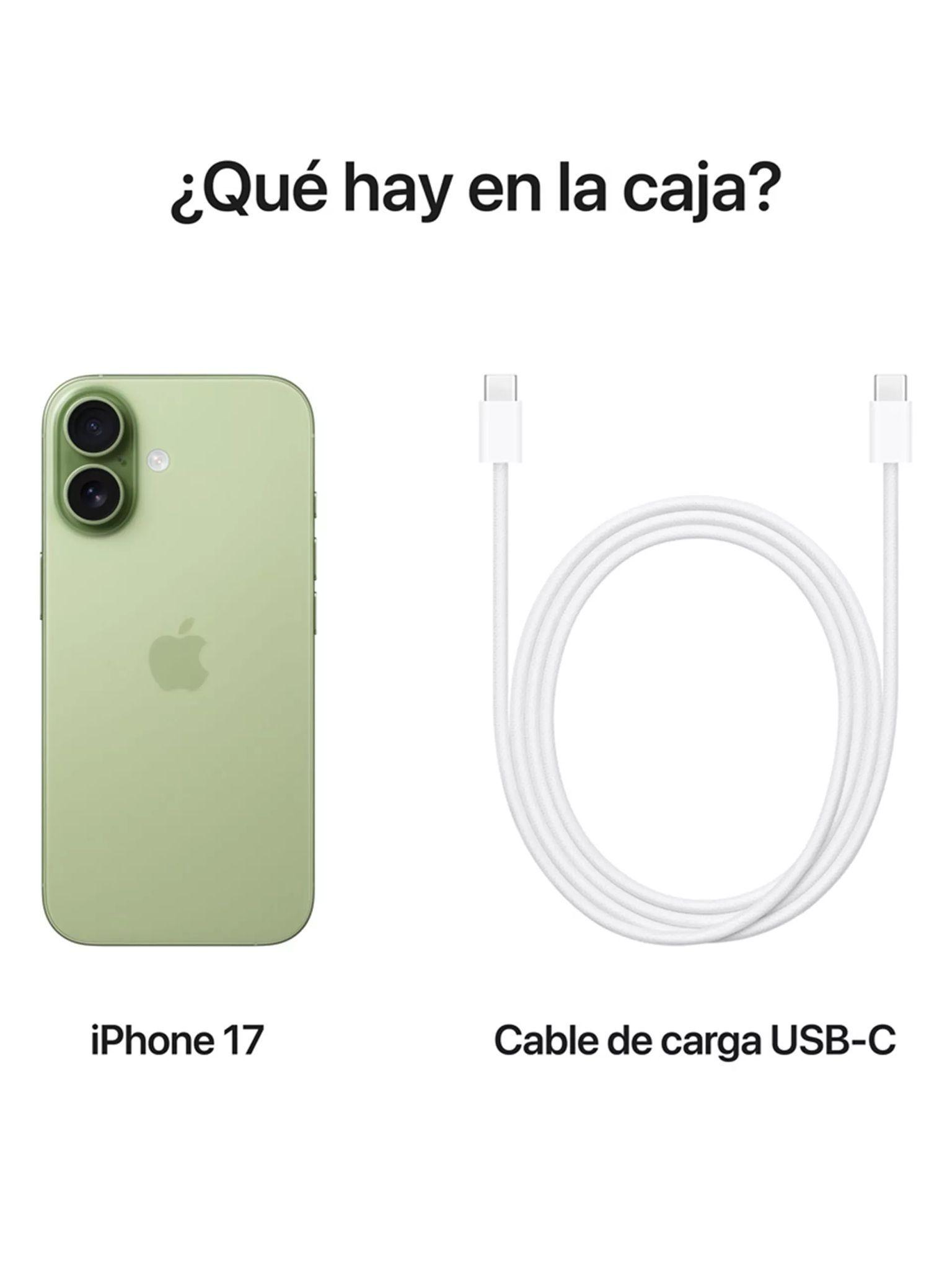 Iphone 17 256 GB Verde (Solo compatible con Esim)-3