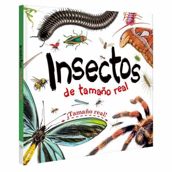 Libro Insectos-0