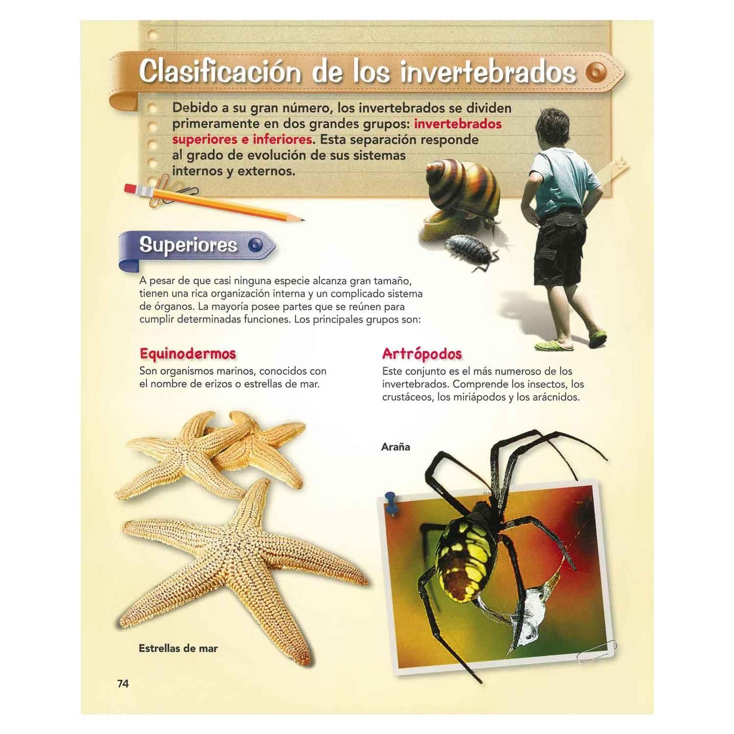 El Mundo Animal Practikids Escolar-2