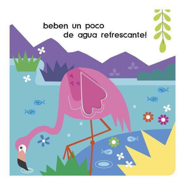 Mira y Descubre Flamencos-2