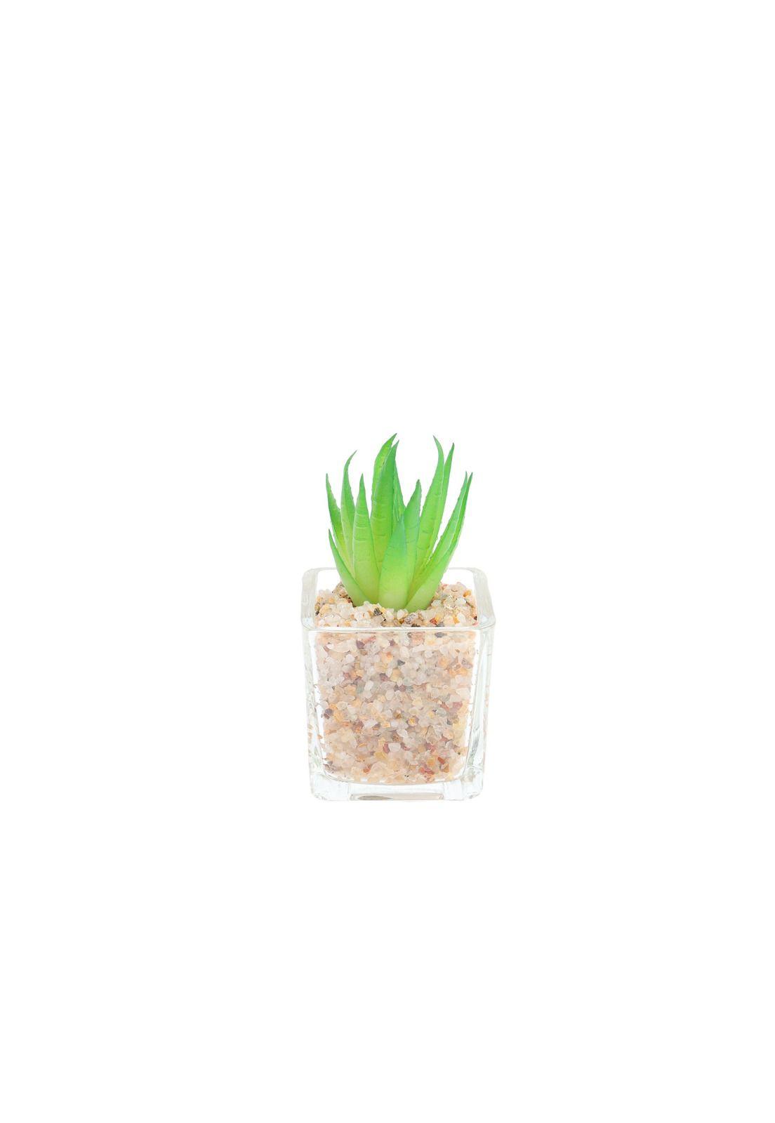 Cactus artificial 5*8cm-2