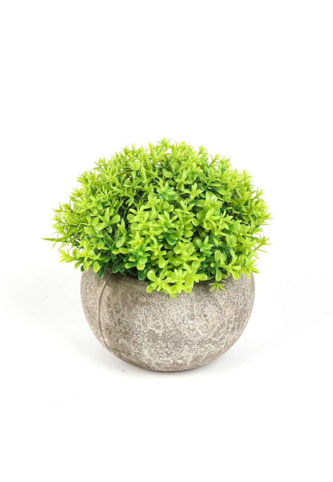 Planta  Artificial Boj 11cm-0