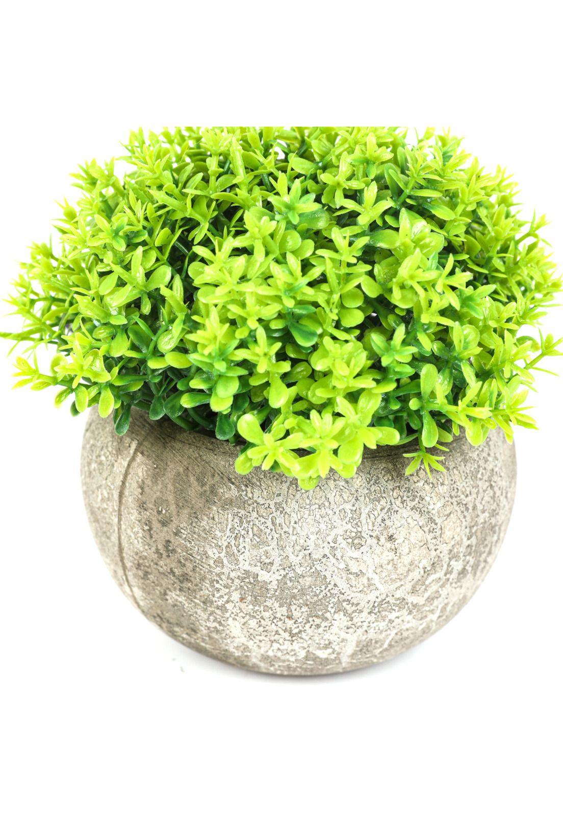 Planta  Artificial Boj 11cm-2