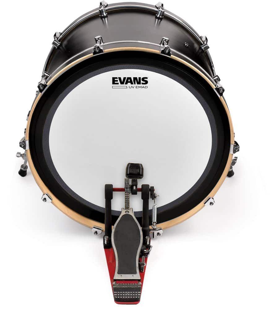 Parche 16" EC2 Coated Sst B16EC2S - Evans-3