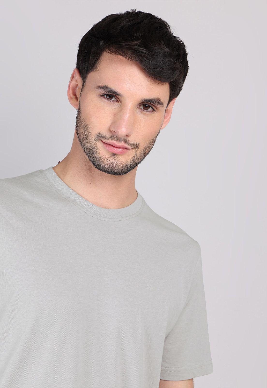 Polera Cuello Redondo Arrow PO32044GR-2