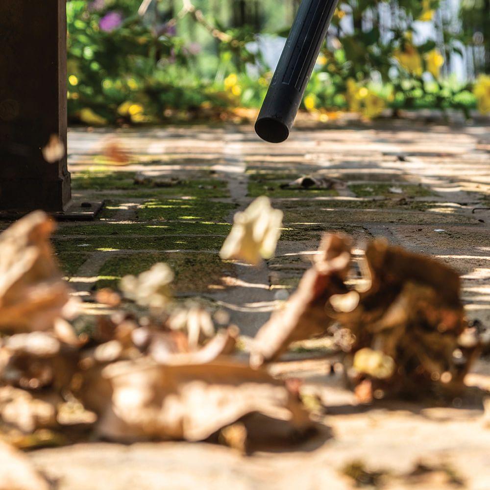 Aspiradora polvo y agua WDL 1 S-6