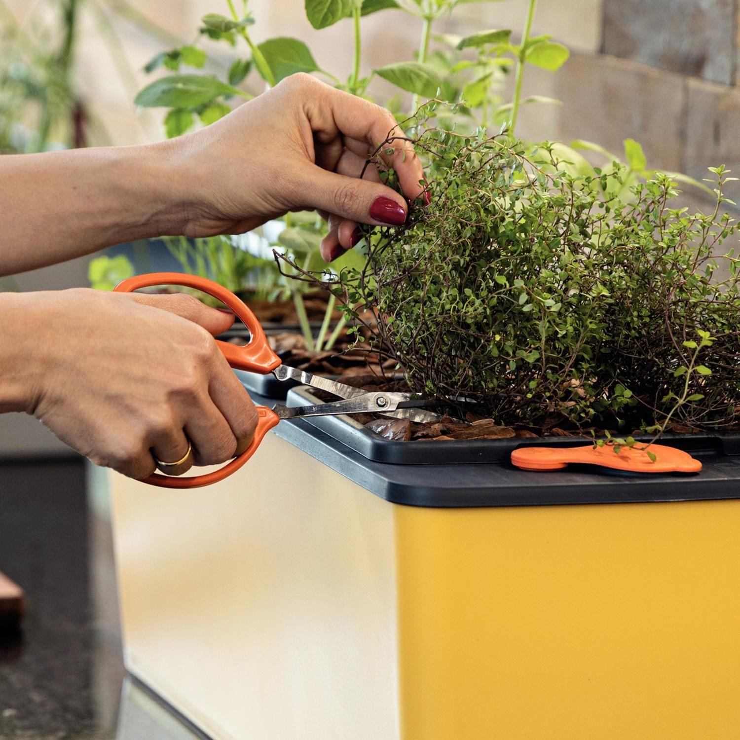 Tijera Para Frutas Con Láminas De Acero Inox Tramontina-4