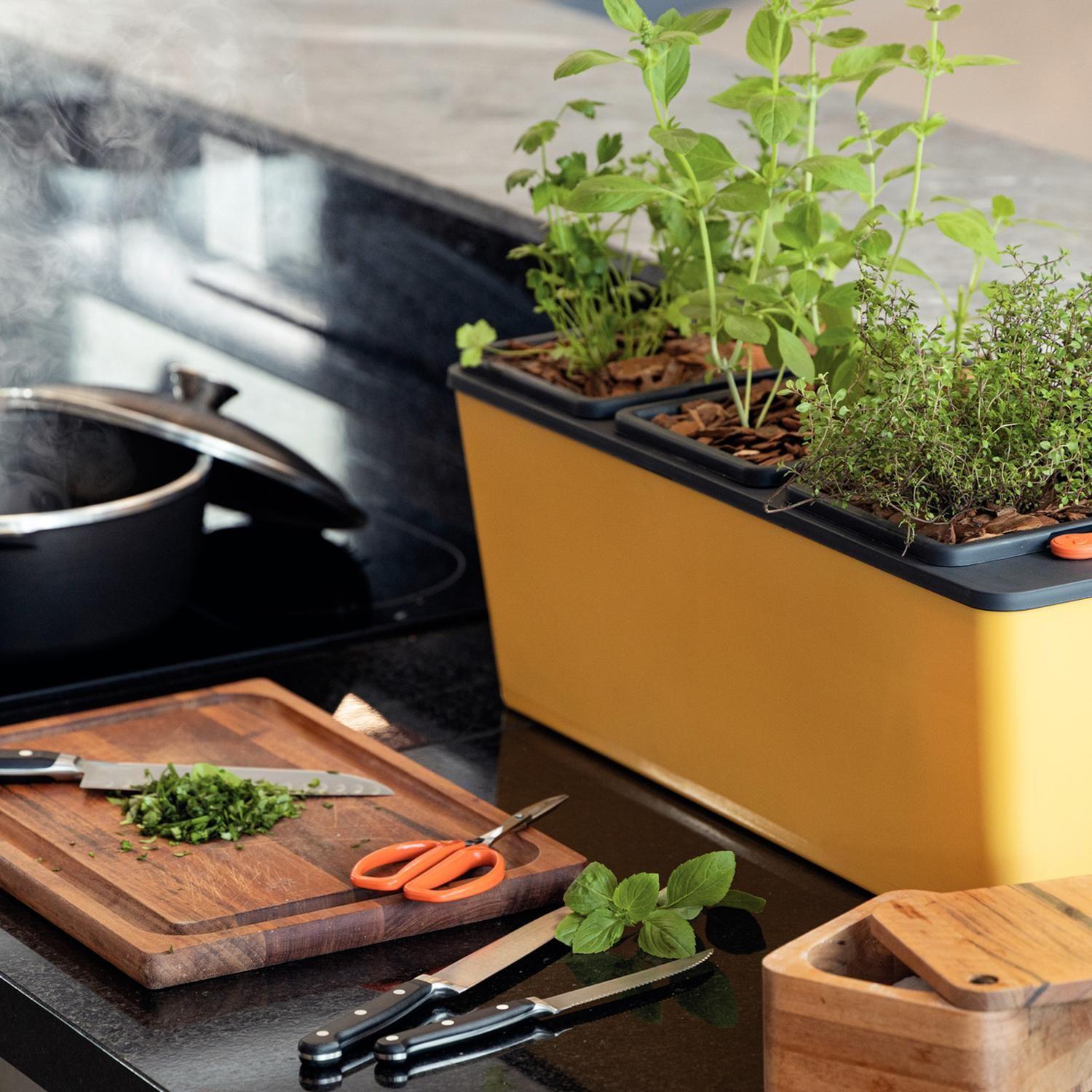Tijera Para Frutas Con Láminas De Acero Inox Tramontina-6