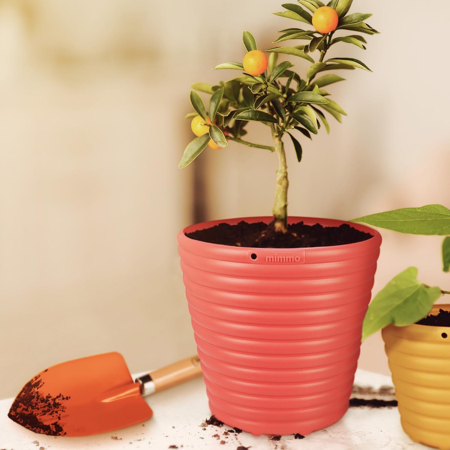 Palita Ancha Metalica Para Jardin Mango Madera Tramontina-6