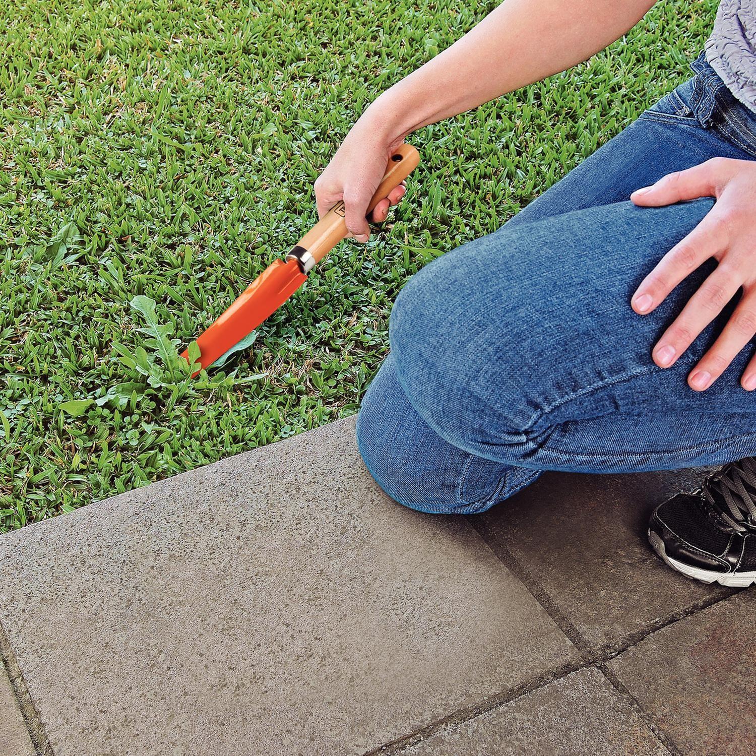 Arrancador De Maleza Para Jardin Mango Madera Tramontina-3