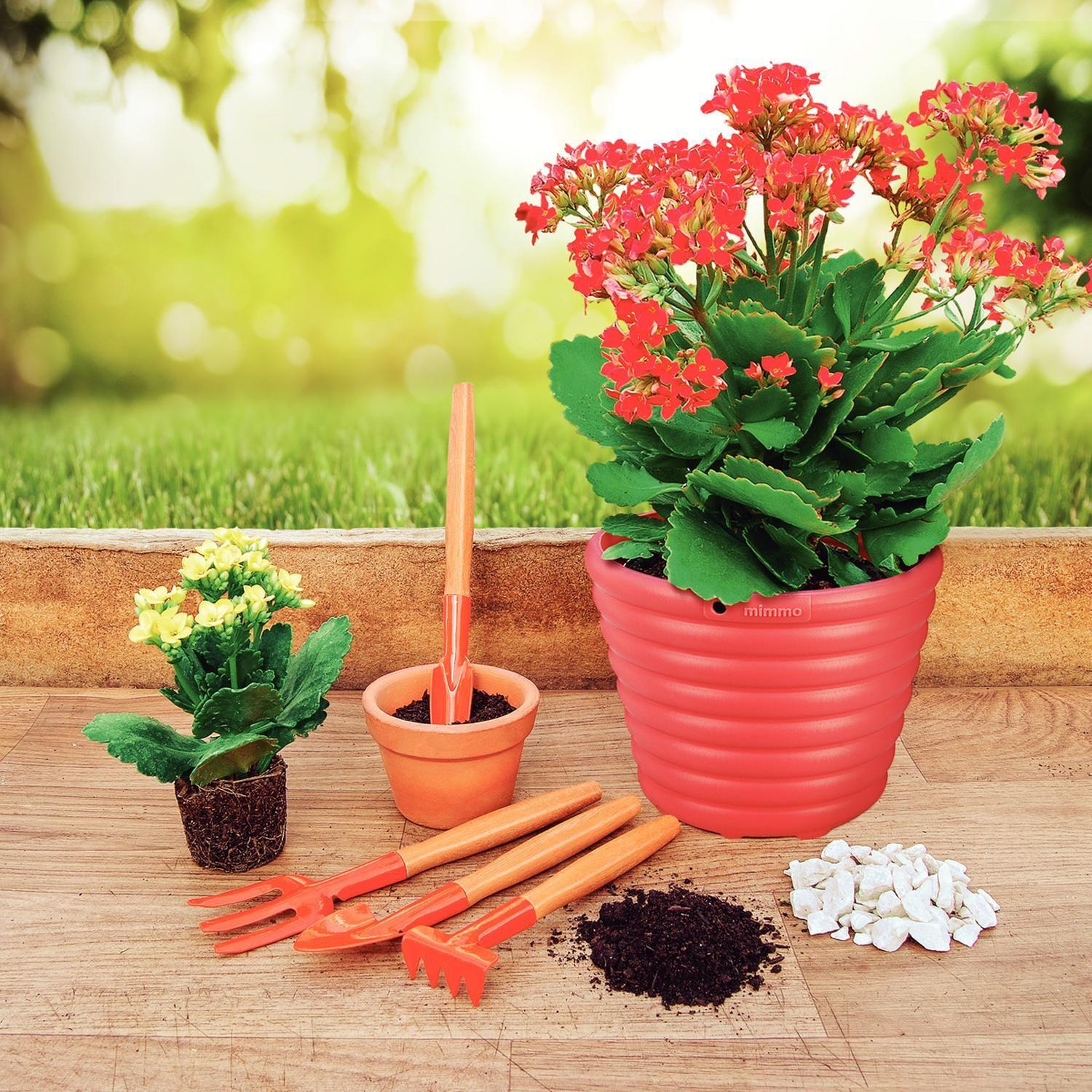 Kit Para Jardin De 4 Piezas Con Mango Madera Tramontina-2