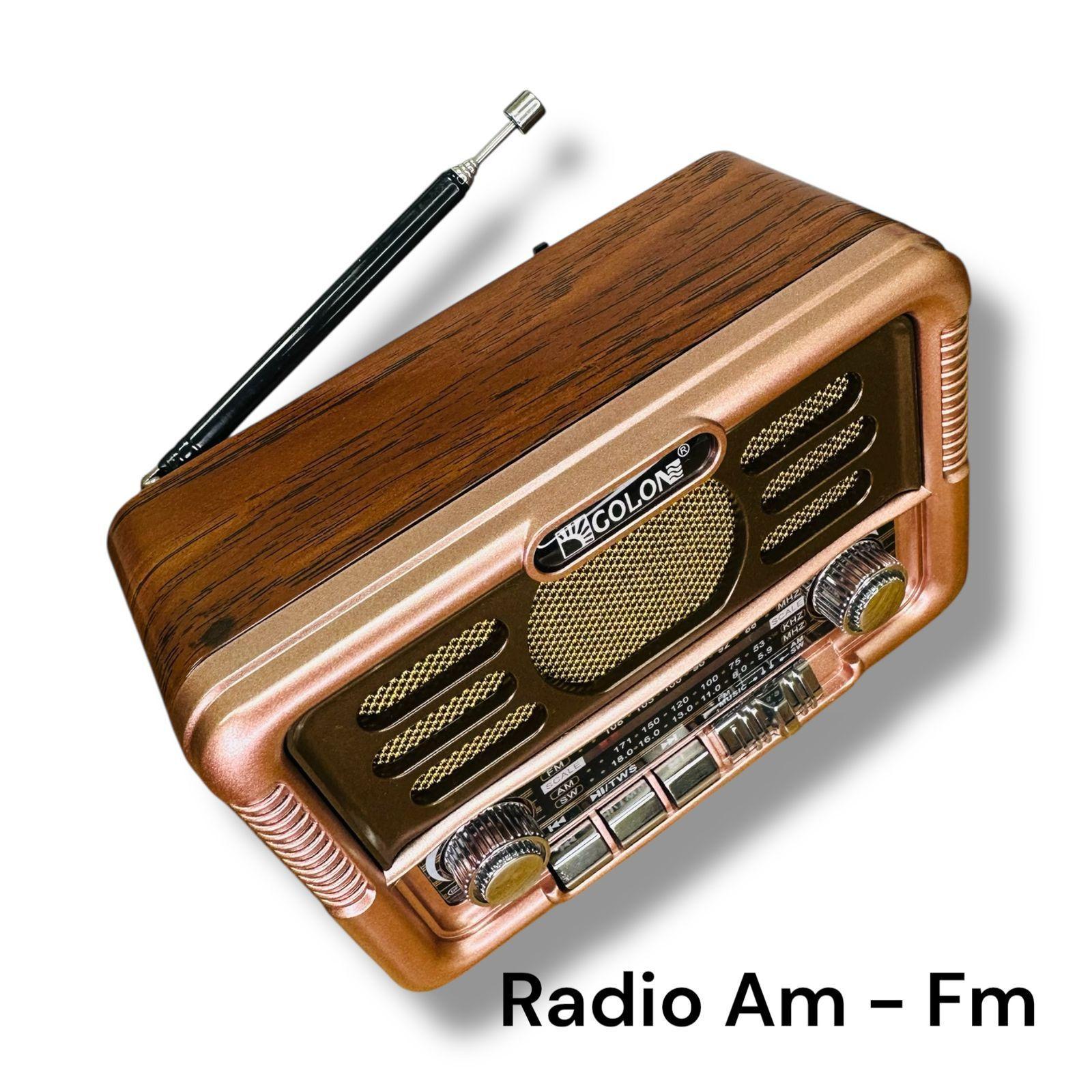 Radio Solar Vintage 3 Bandas Am Fm Sw Bluetooth Sd Usb-7