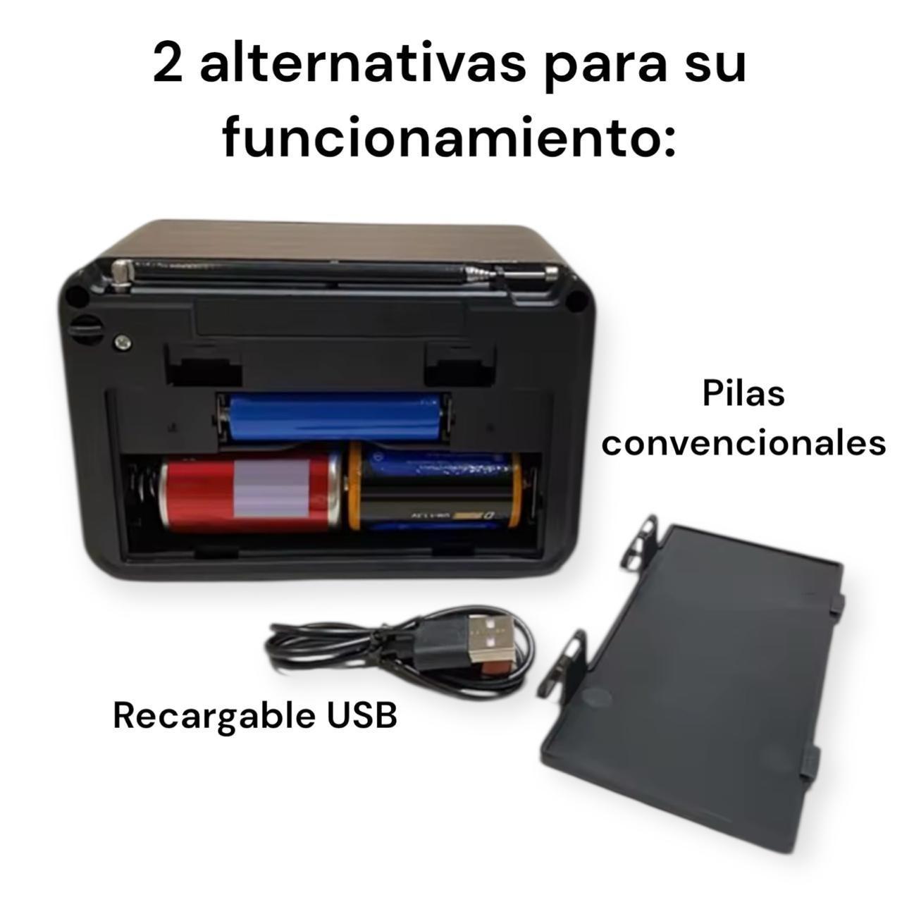 Radio Bluetooth Mp3 Sd Usb Am Fm Vintage Portatil Recargable -4