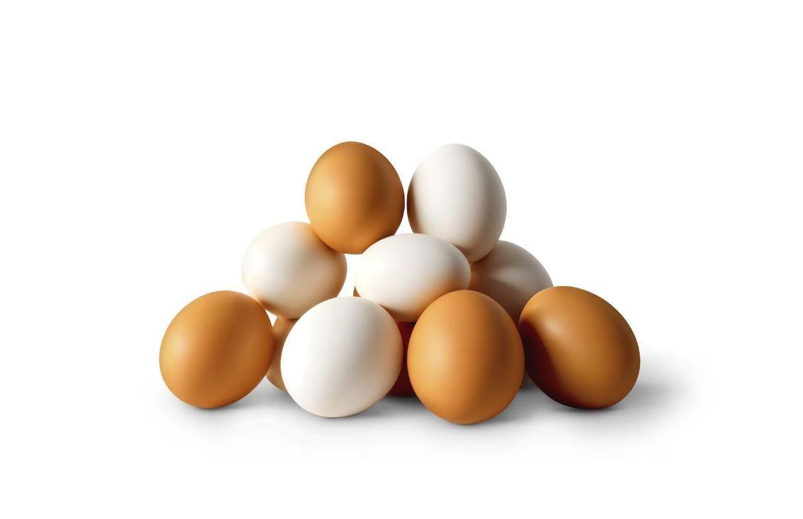 multivitamínico aves - gallinas patos gansos pavos loros catas y todo tipo de aves formato sachet -1