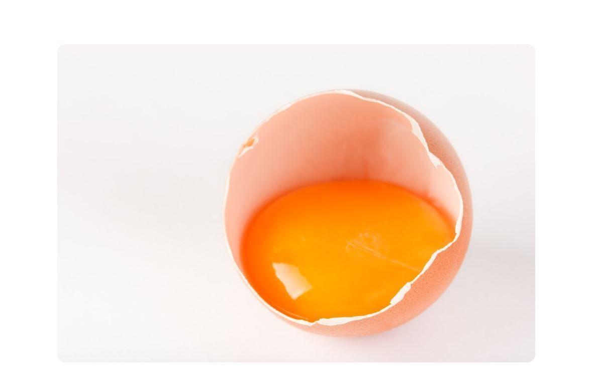 multivitamínico aves - gallinas patos gansos pavos loros catas y todo tipo de aves formato sachet -3