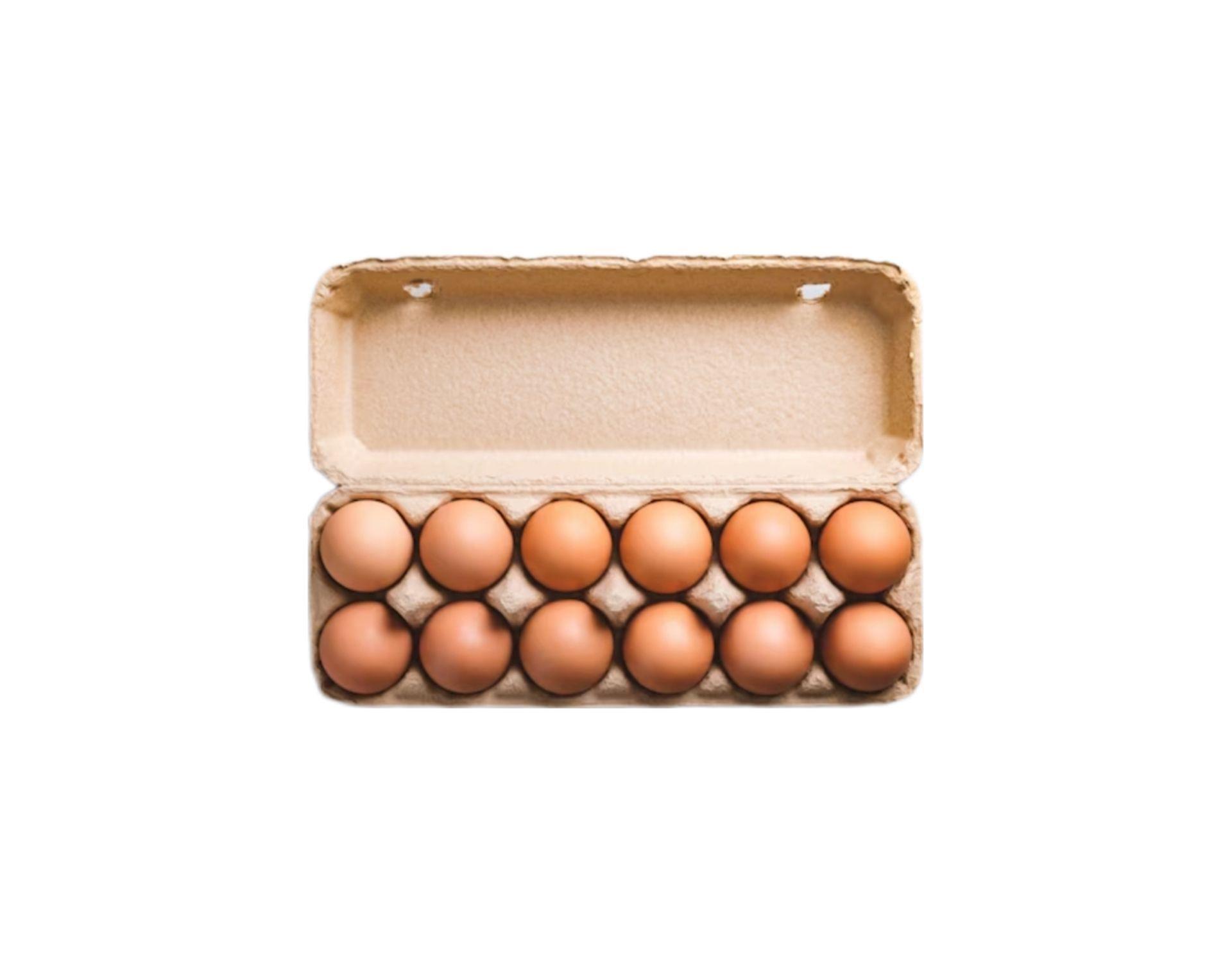 multivitamínico aves - gallinas patos gansos pavos loros catas y todo tipo de aves formato sachet -5