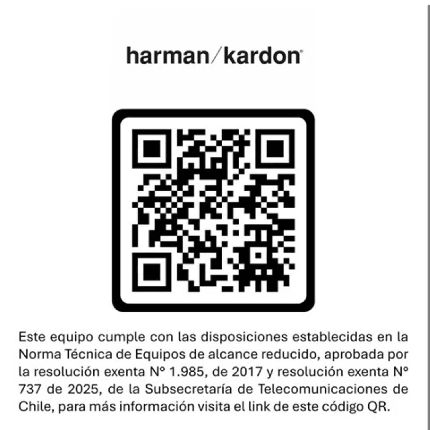 Parlante Inalambrico Harman Kardon Go + Play 3 Gris-6