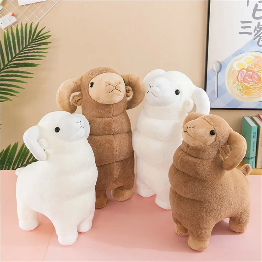 Carneros Tiernos De Peluche 60 Cm-3