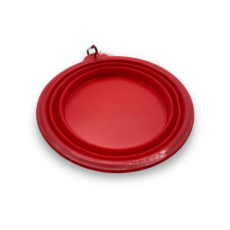 Plato para Comida de Mascotas Plegable Minnie Mouse-2